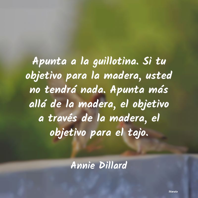 frases de Annie Dillard