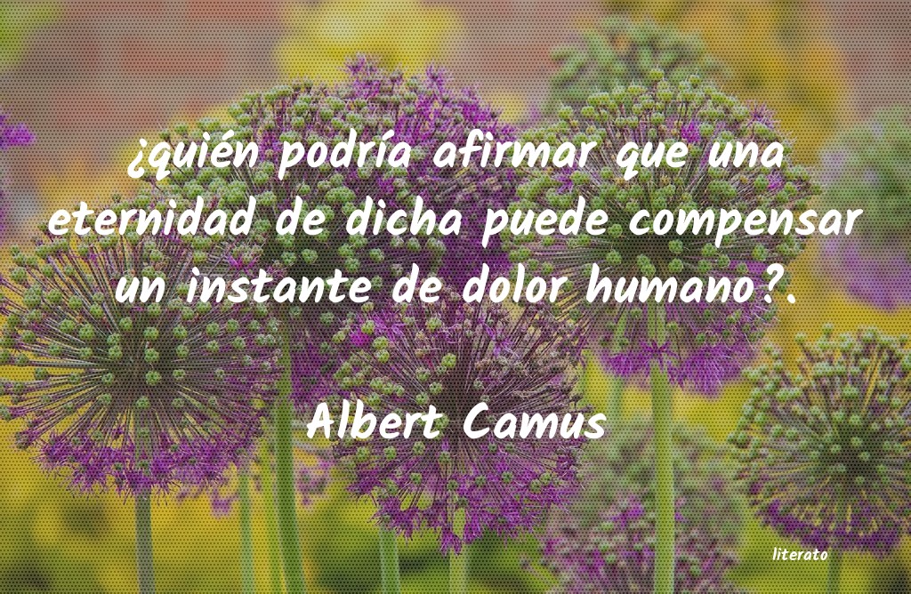 Frases de Albert Camus