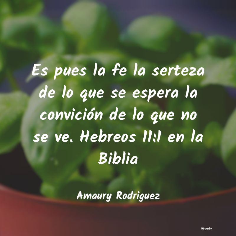 Frases de Amaury Rodriguez