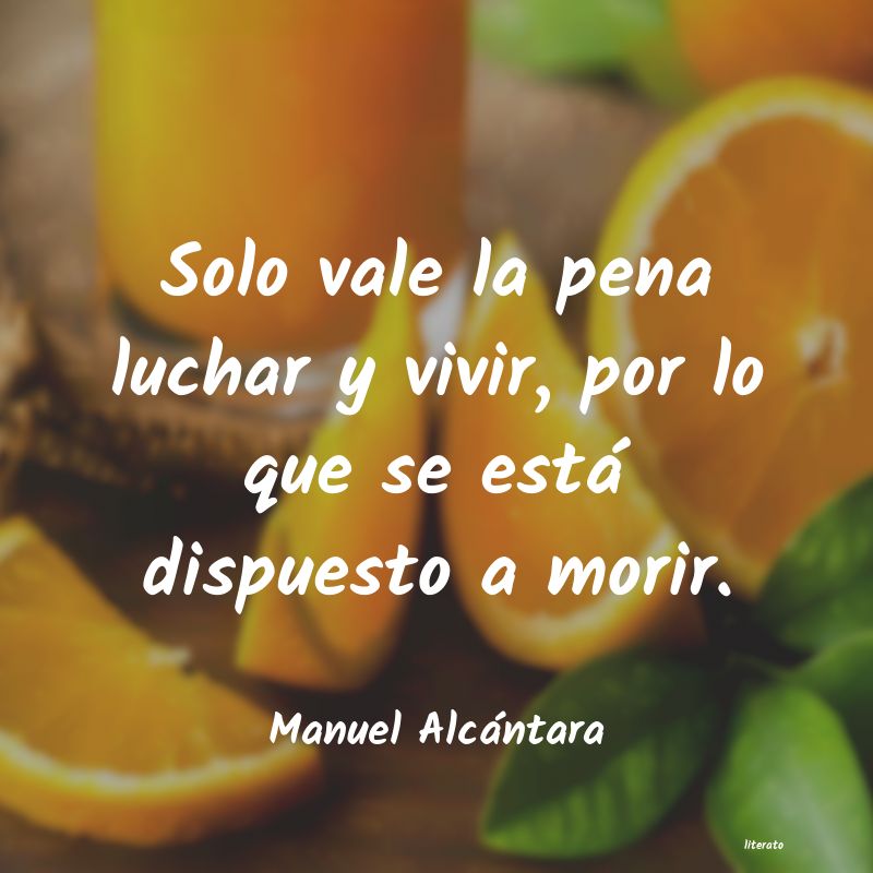 Frases de Manuel Alcántara