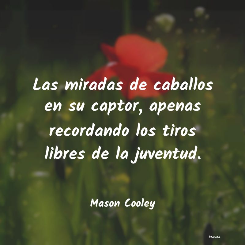 Frases de Mason Cooley