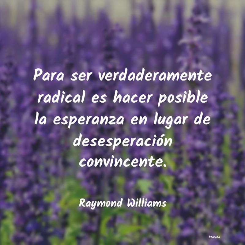 frases de Raymond Williams