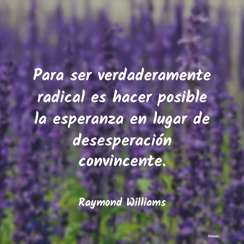 Frases de Raymond Williams