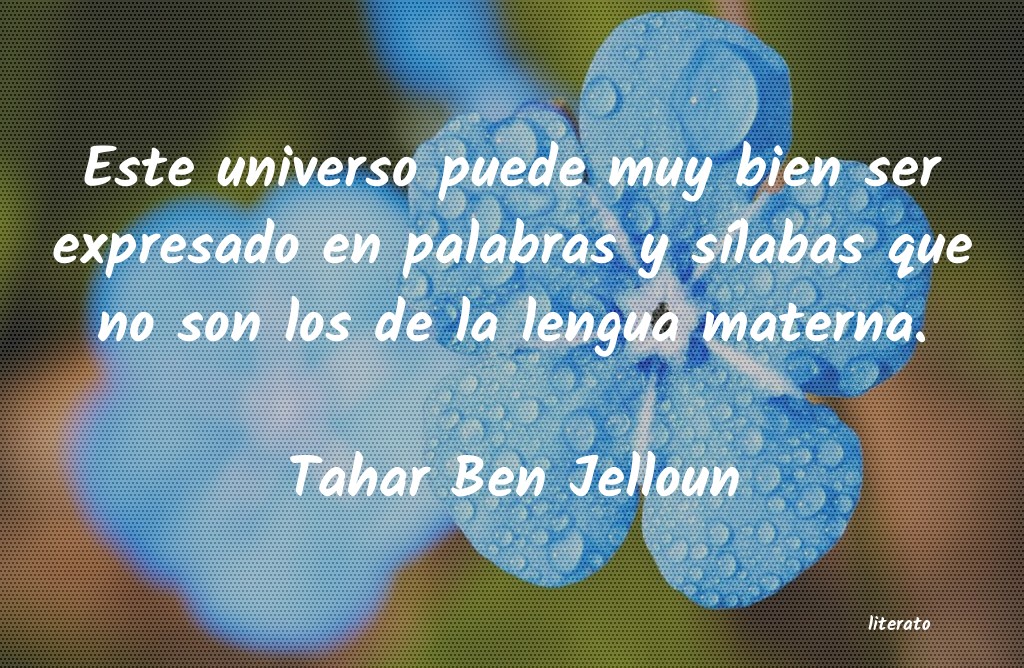 Frases de Tahar Ben Jelloun