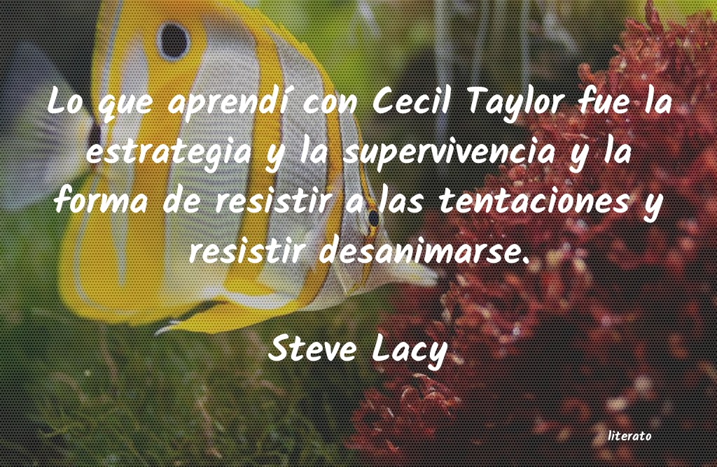 Frases de Steve Lacy