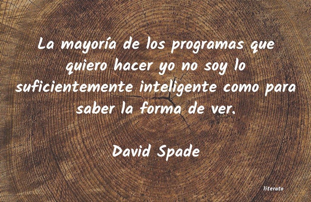 Frases de David Spade
