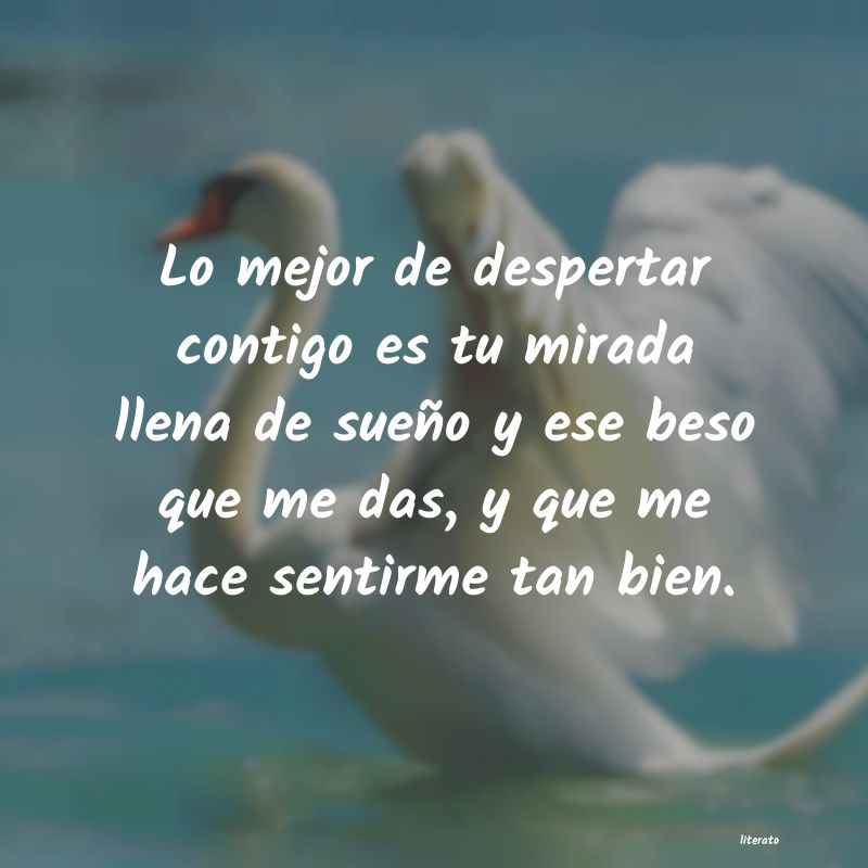 frases