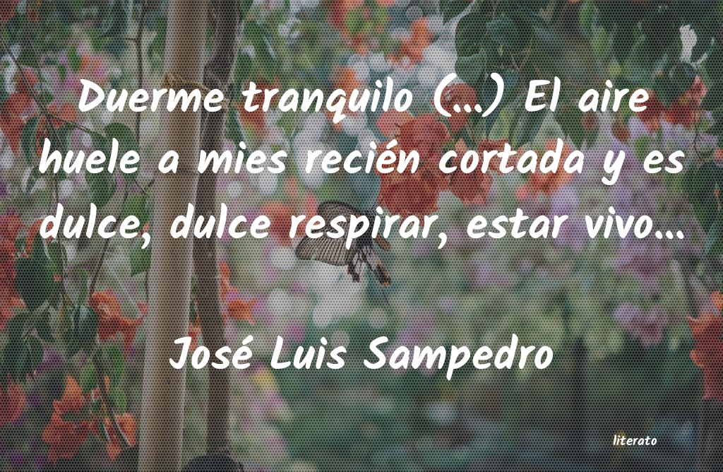 frases de José Luis Sampedro