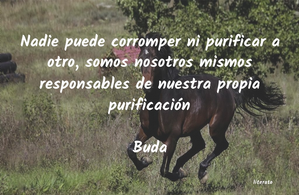 Frases de Buda