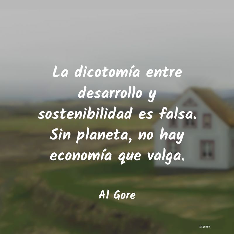 Frases de Al Gore