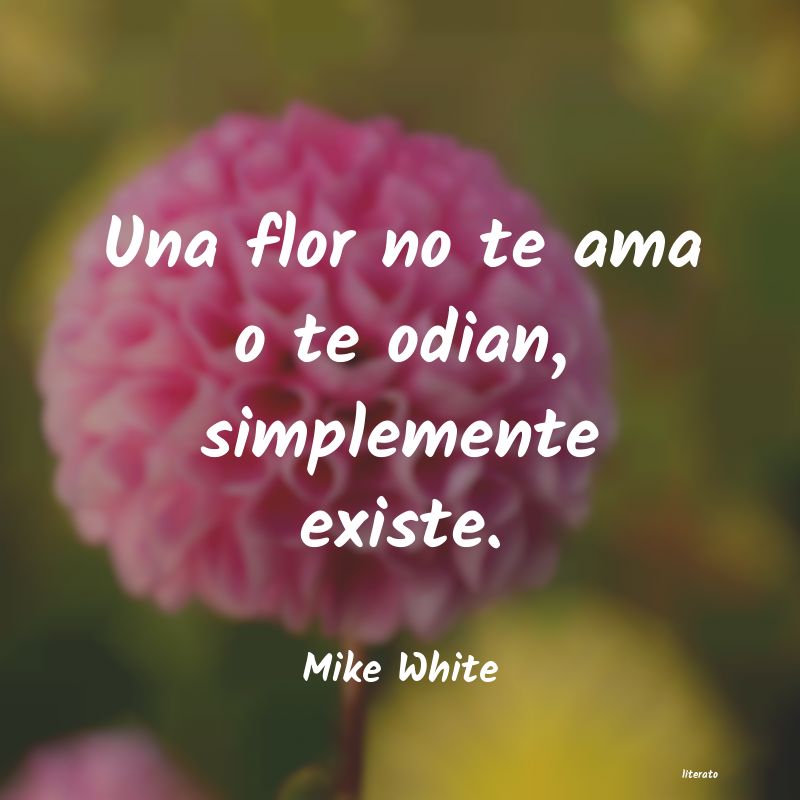 frases de Mike White