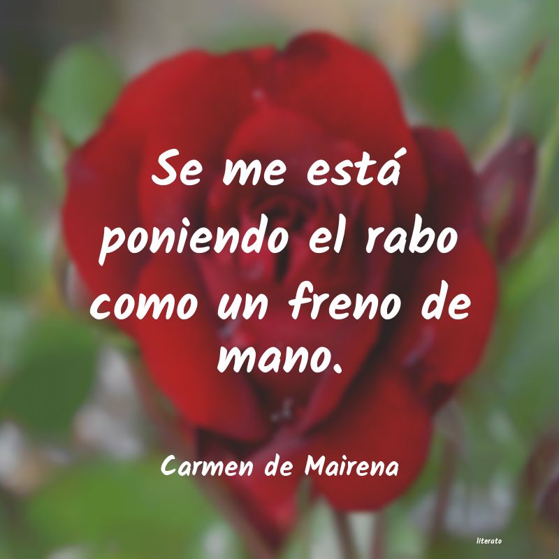 Frases de Carmen de Mairena