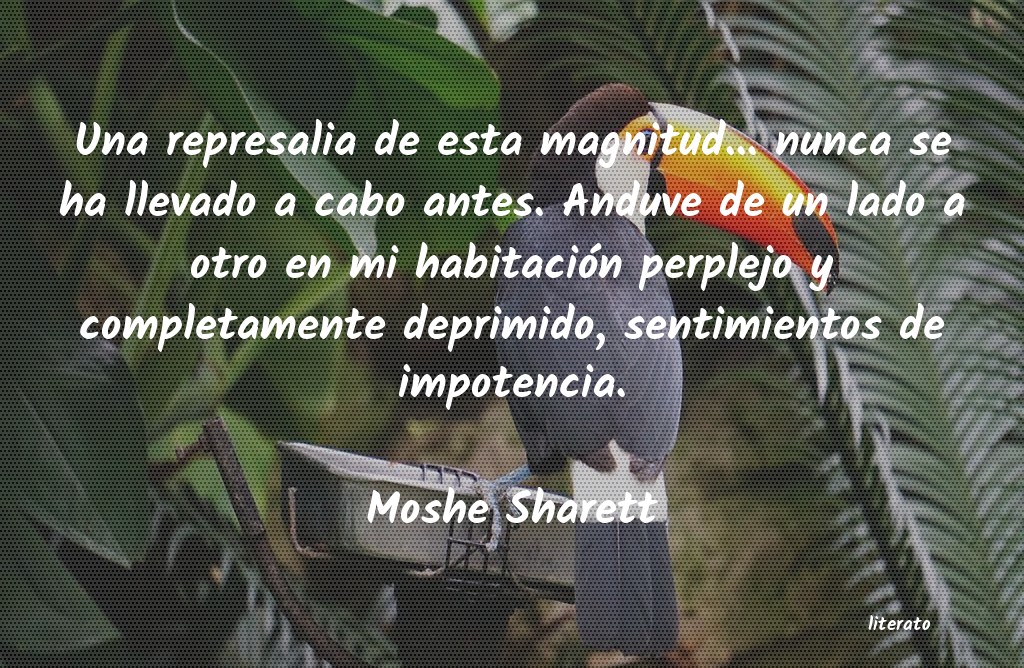 frases de Moshe Sharett