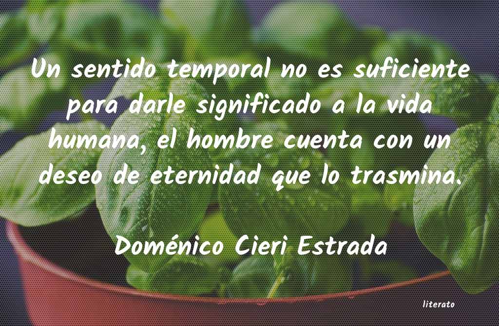 Frases de Doménico Cieri Estrada