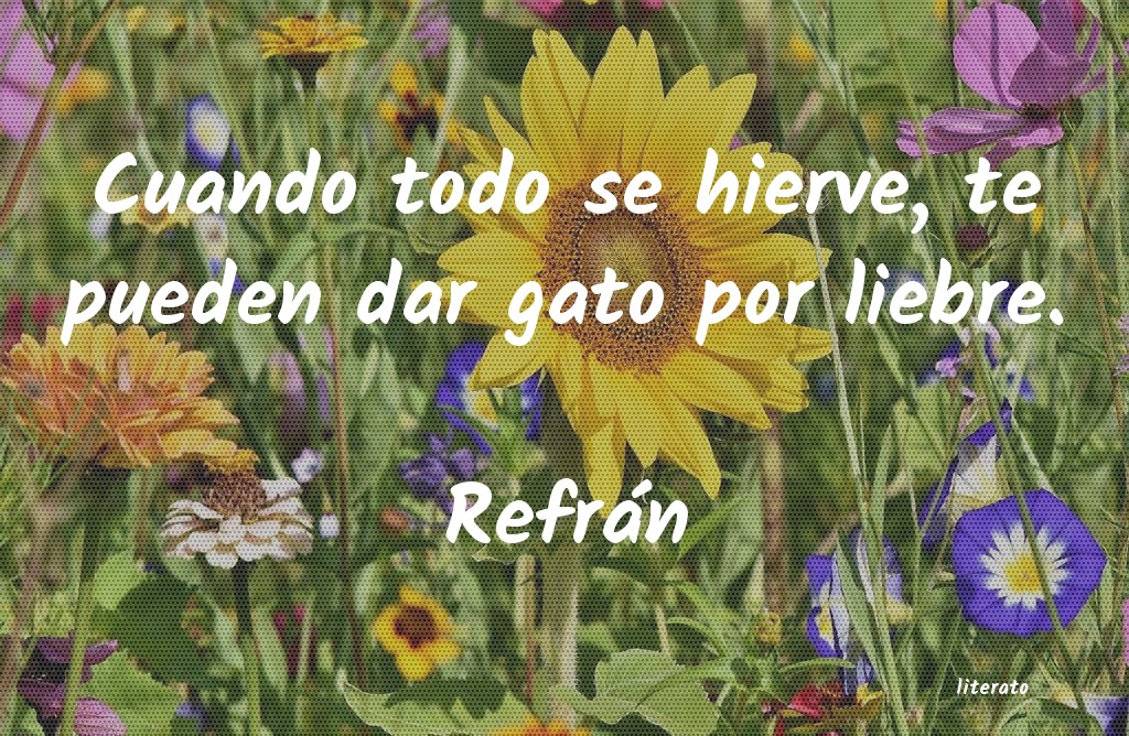 Frases de Refrán