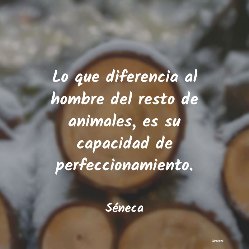 frases de Séneca