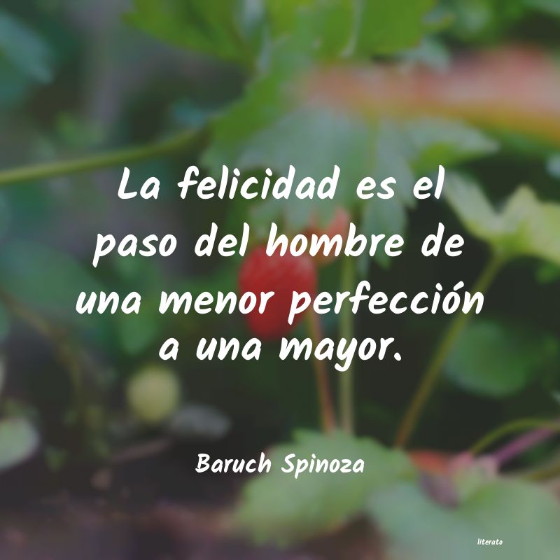 Frases de Baruch Spinoza