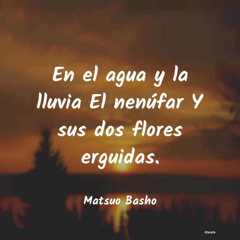 Frases de Matsuo Basho