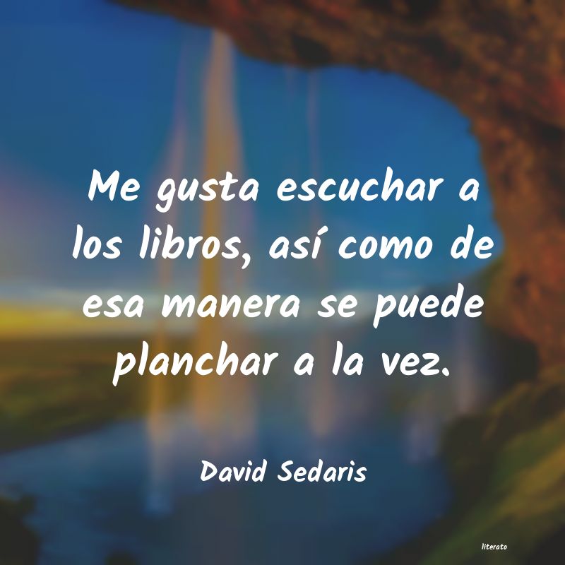 Frases de David Sedaris