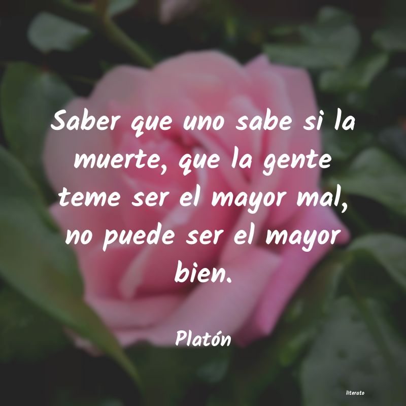 Frases de Platón