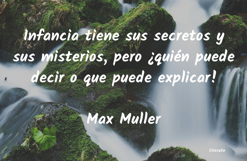 Frases de Max Muller