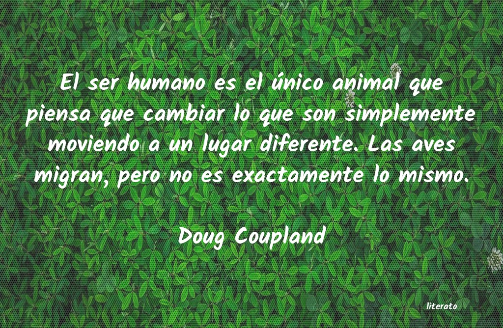 Frases de Doug Coupland