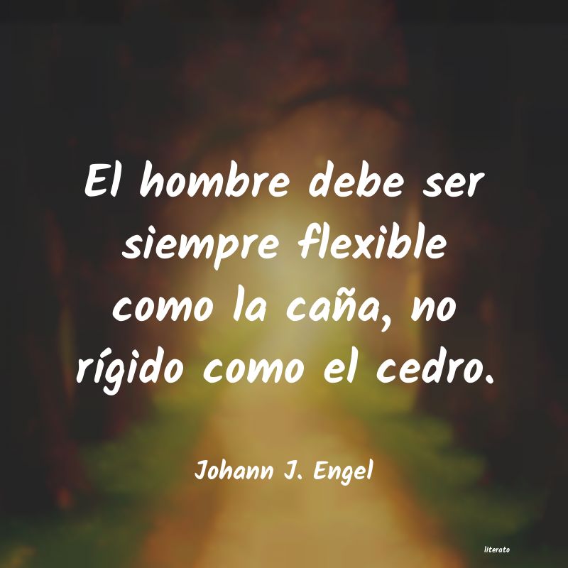 frases de Johann J. Engel