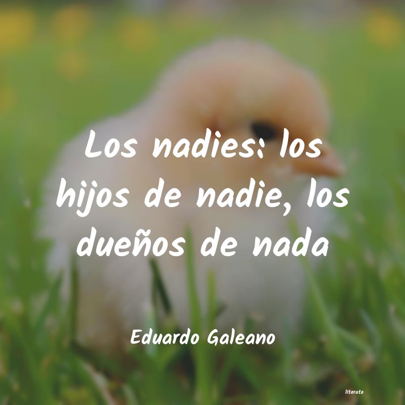 Frases de Eduardo Galeano