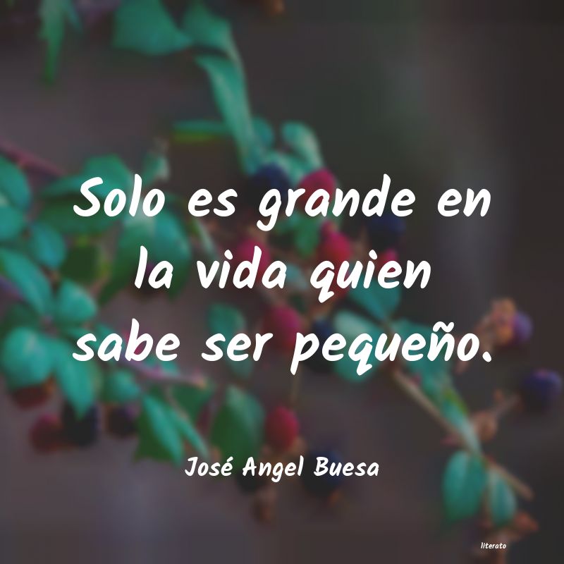 Frases de José Angel Buesa