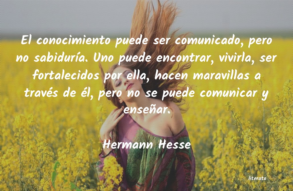 Frases de Hermann Hesse