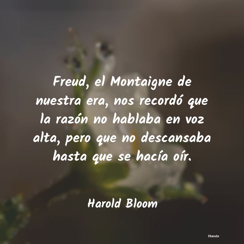 frases de Harold Bloom