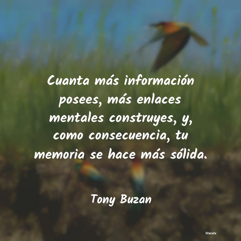 Frases de Tony Buzan