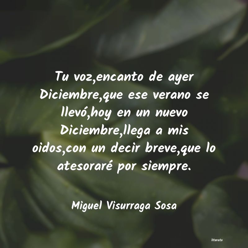 Frases de Miguel Visurraga Sosa