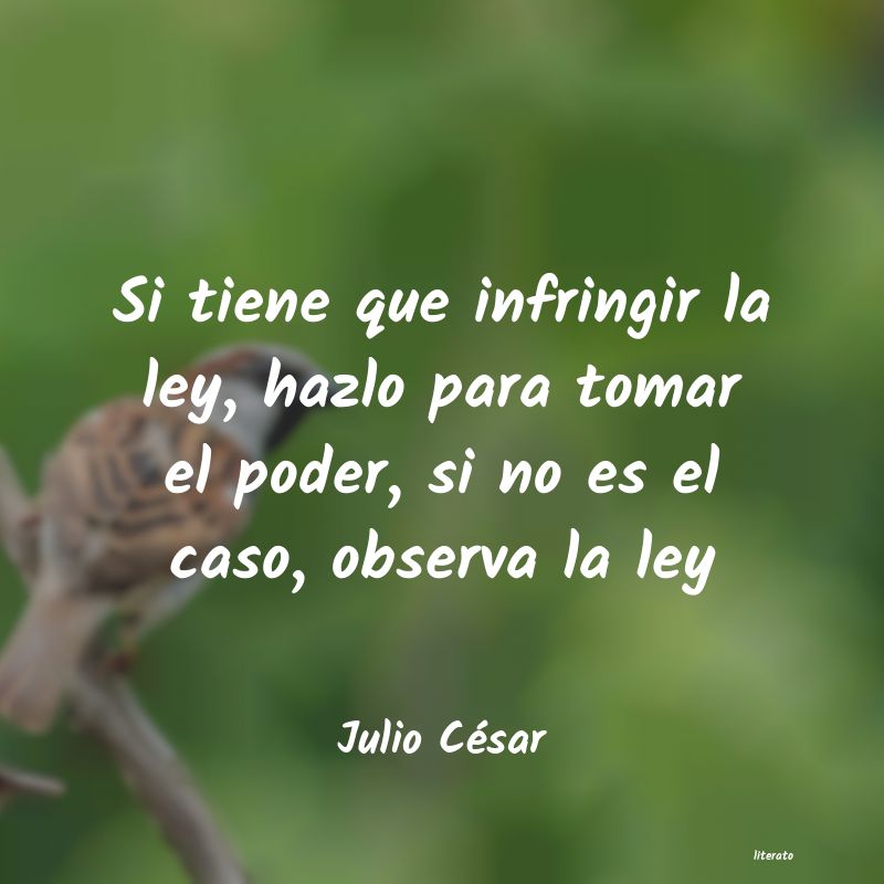 Frases de Julio César