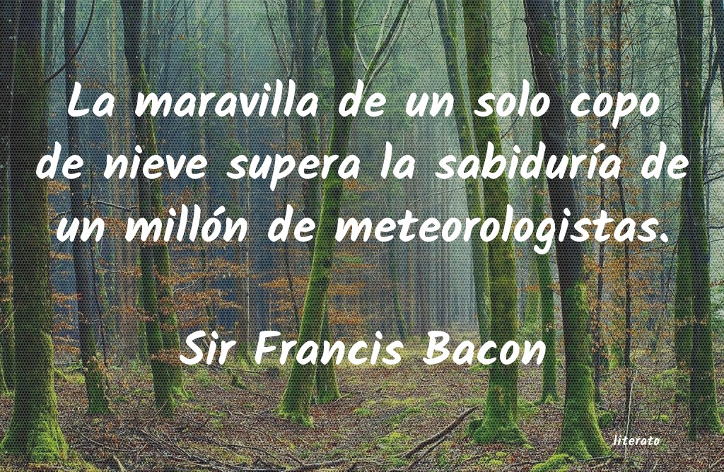 Frases de Sir Francis Bacon