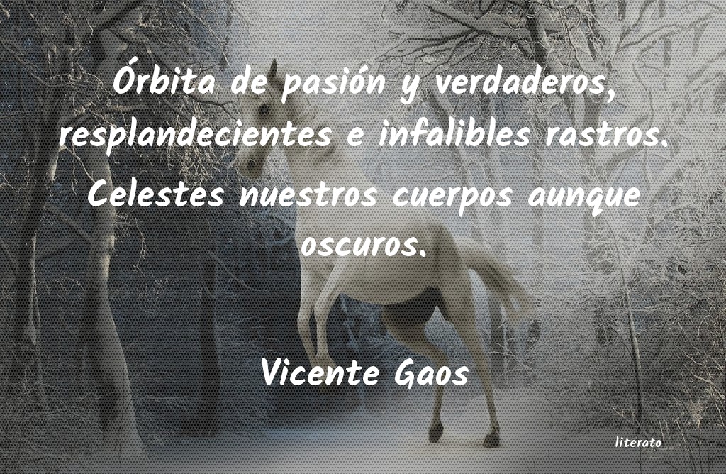 frases de Vicente Gaos