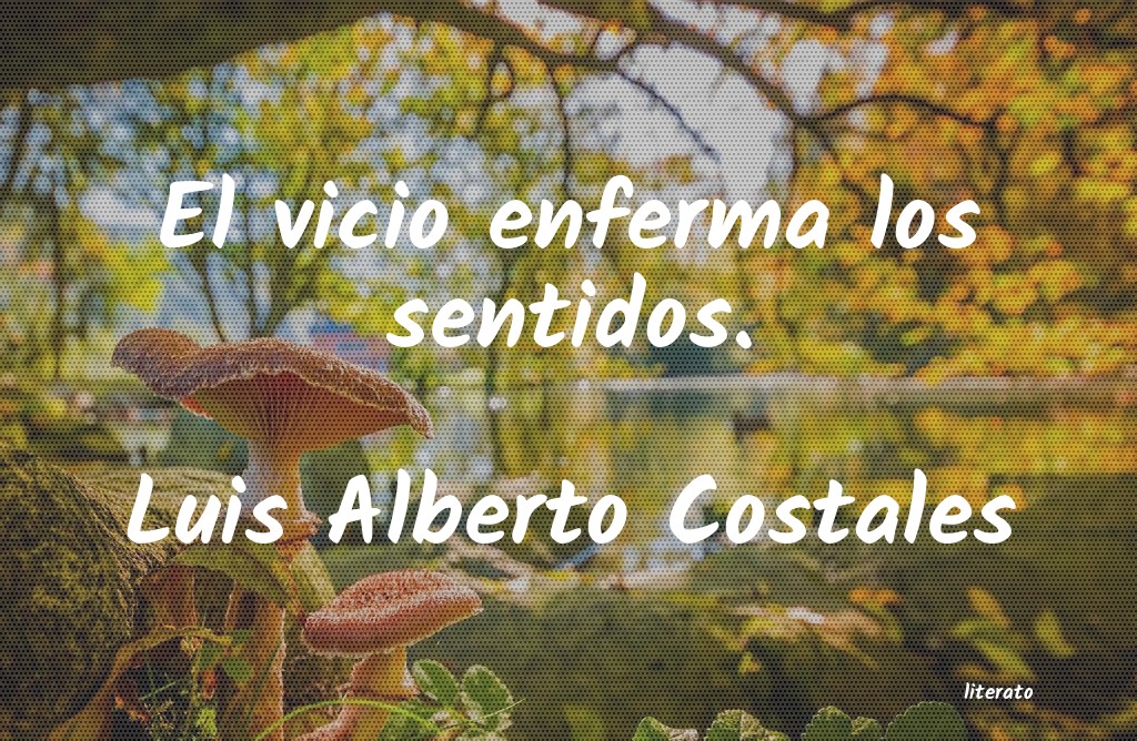 Frases de Luis Alberto Costales