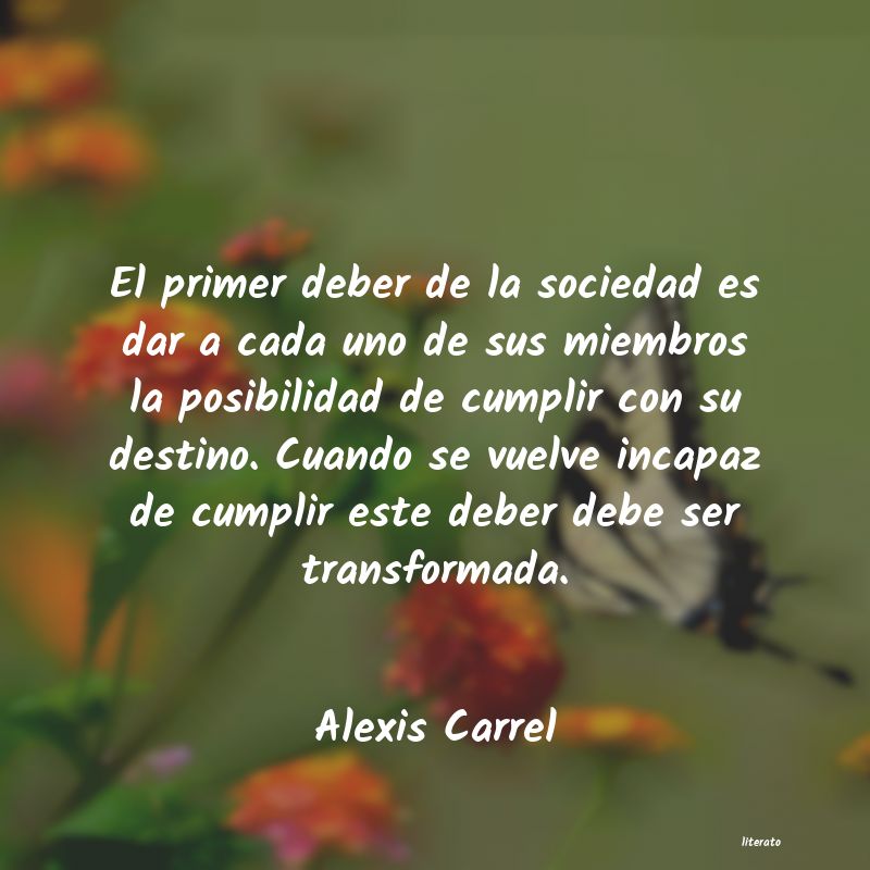 frases de Alexis Carrel