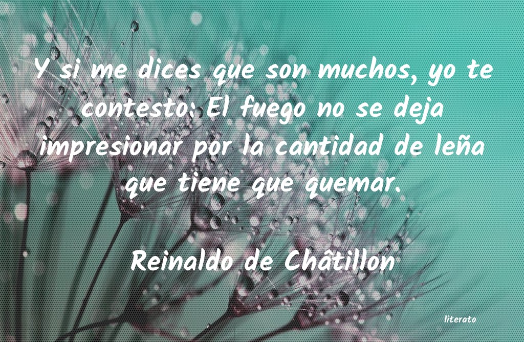 frases de Reinaldo de Châtillon
