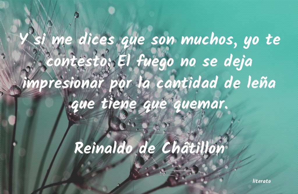 Frases de Reinaldo de Châtillon