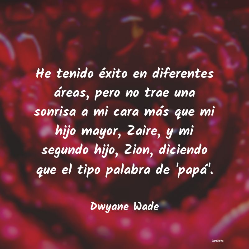 Frases de Dwyane Wade