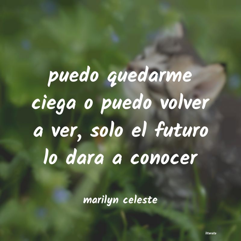 Frases de marilyn celeste