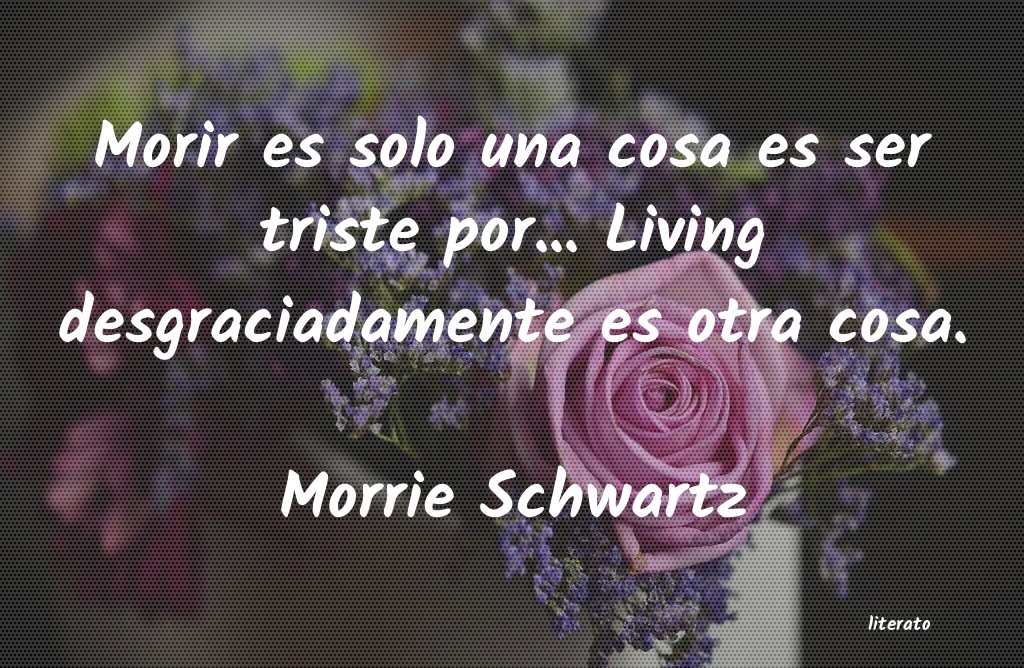 frases de Morrie Schwartz