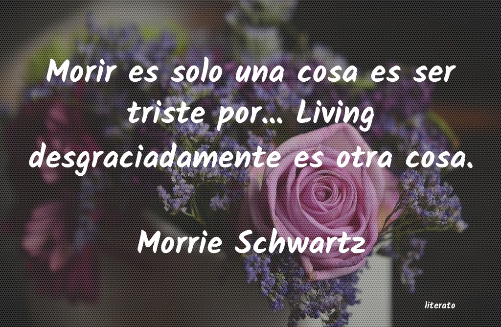 Frases de Morrie Schwartz