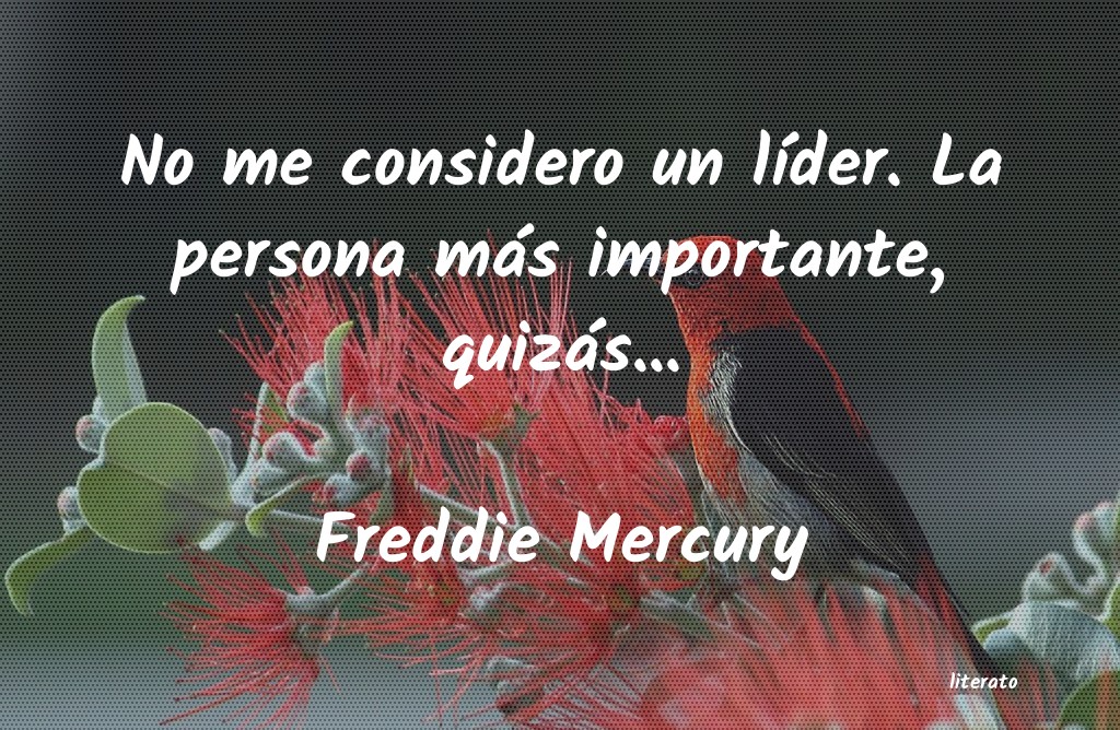 Frases de Freddie Mercury