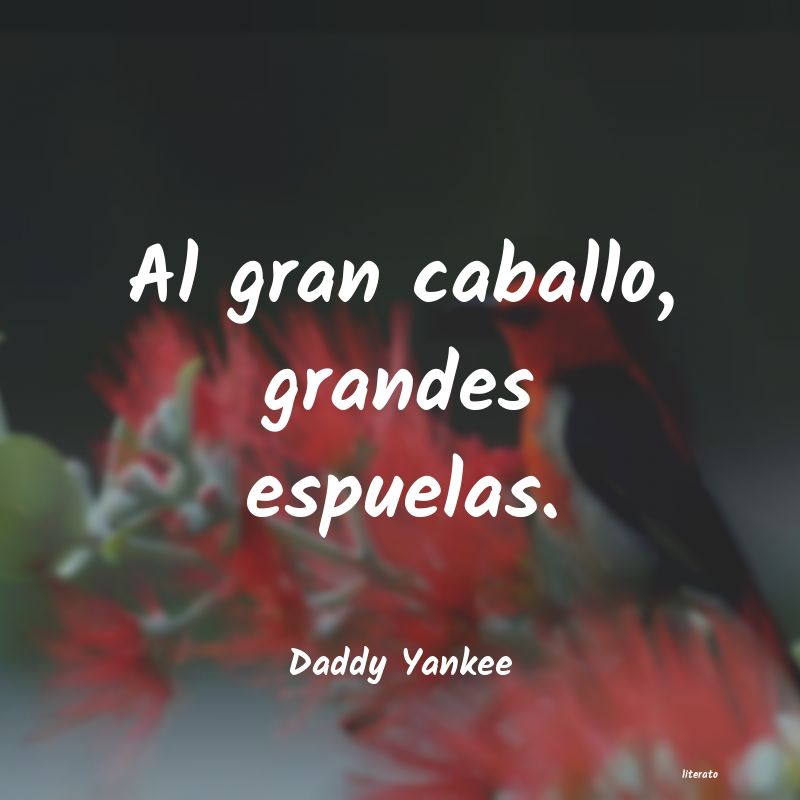 Frases de Daddy Yankee