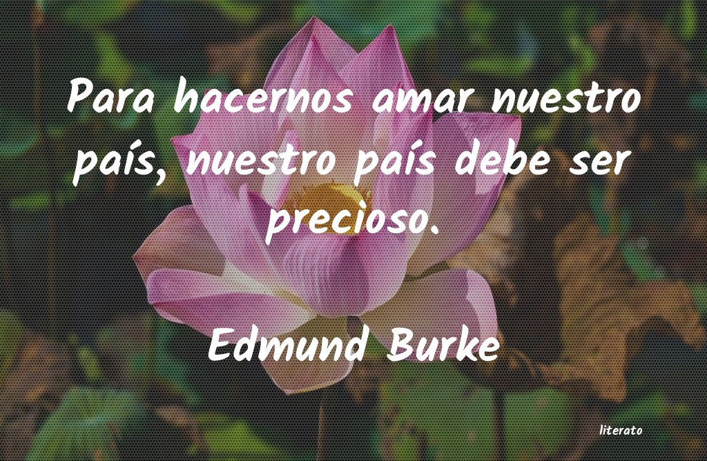 Frases de Edmund Burke