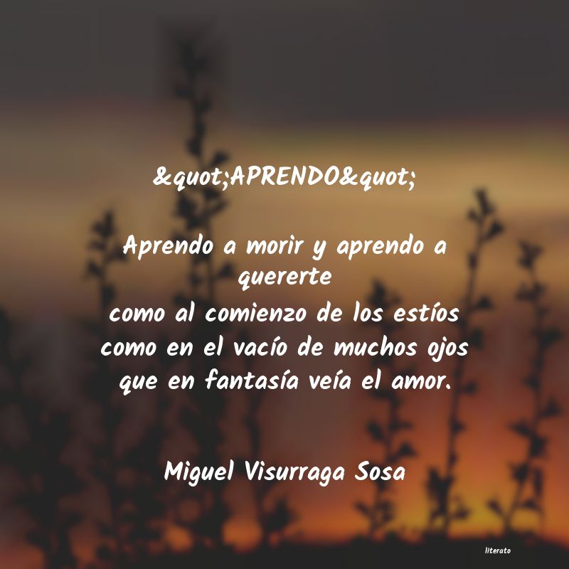 Frases de Miguel Visurraga Sosa