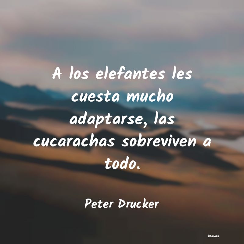 Frases de Peter Drucker