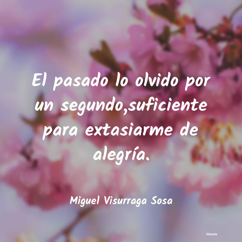 frases de Miguel Visurraga Sosa